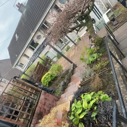 Finished landscaped garden