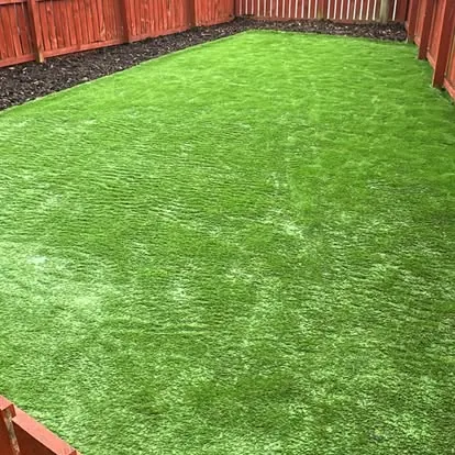 Fresh lawn and finished garden